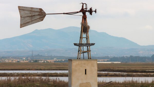 Restauro dei mulini delle saline di Trapani