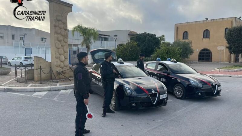 Sorpresi a rubare 7 mila piante di fragole, due stranieri finiscono in manette