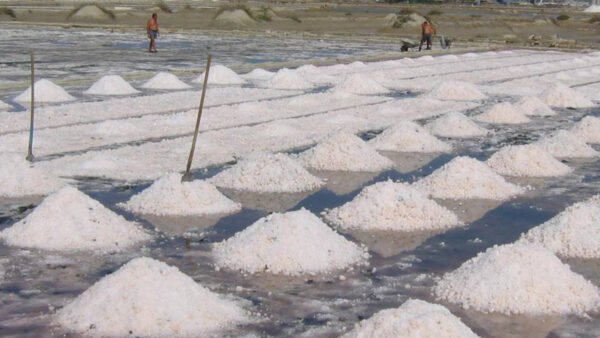 Meteo e oroscopo Trapani – 5 settembre 2025