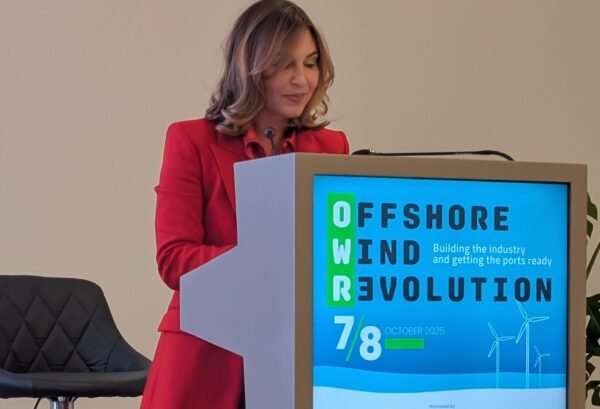 Il commissario Tardino apre l’“Offshore Wind Revolution”
