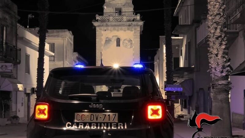 Straniero denunciato dai carabinieri