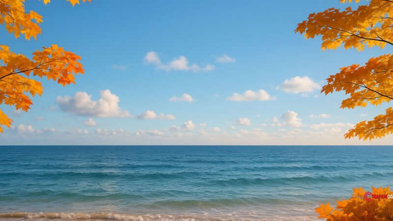 Meteo e oroscopo di Trapani oggi