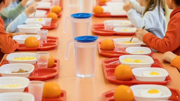 Trapani, è partita la mensa scolastica in tutti gli Istituti Comprensivi
