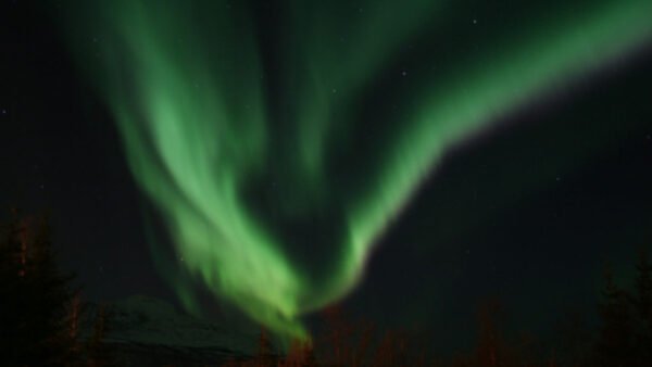 Aurora boreale visibile anche in Italia: attesa per il picco serale del 12 novembre