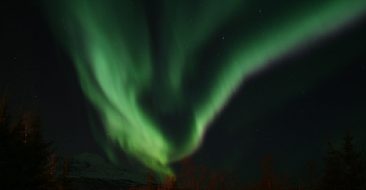 Aurora Borealis wikipedia repertorio