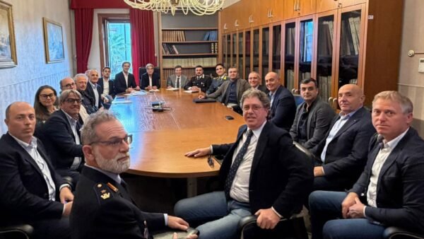 Campagna olivicola 2025: il tavolo tecnico della Prefettura di Trapani