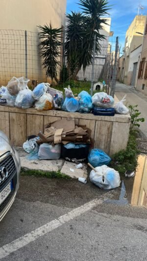 WhatsApp Image 2025 11 11 at 08.59.58