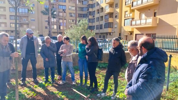 Trapani: un albero per Alessandro