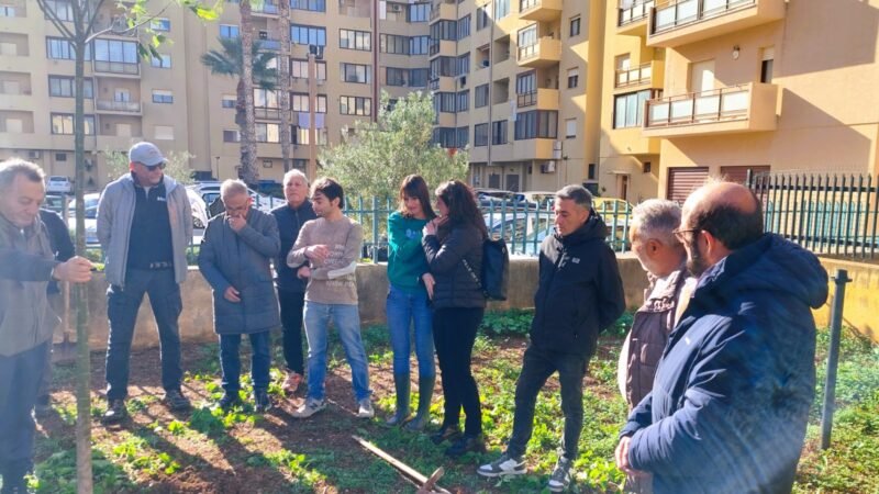 Trapani: un albero per Alessandro