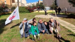 alberixfuturo 02 alberixfuturo 02