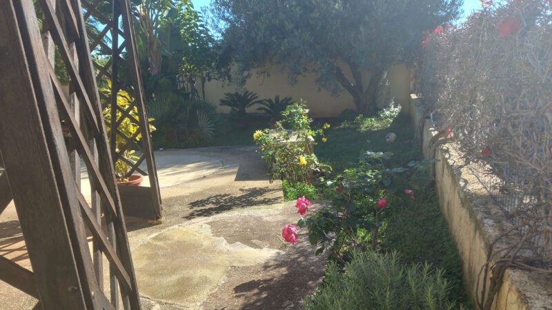scorcio giardino di casa a misiliscemi oggi 13 11 2025