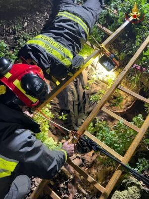 soccorso (3) soccorso (3)