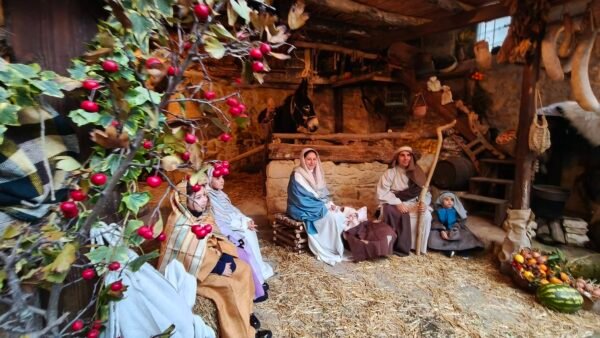 603911416 881298721077341 8182199104315780671 n