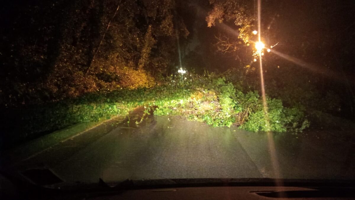 WhatsApp Image 2025 12 05 at 18.11.09(1)