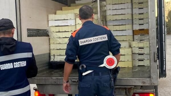 guardia costiera capitaneria di porto controlli filiera pesca 1610