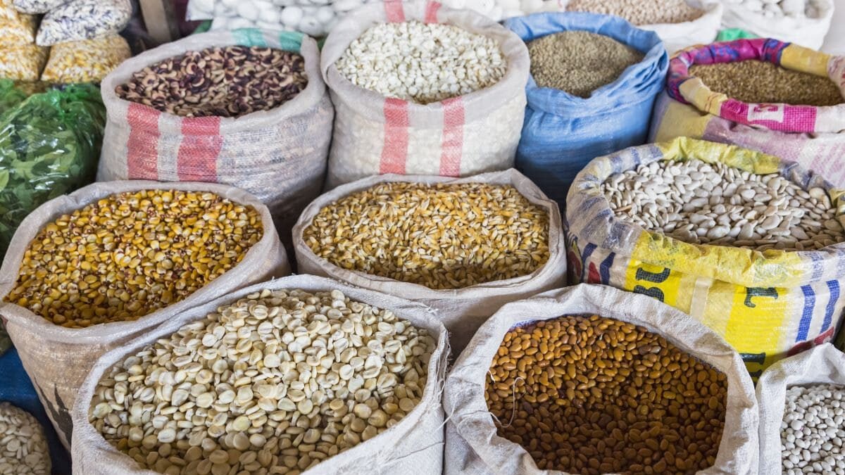 market mercado central de san pedro