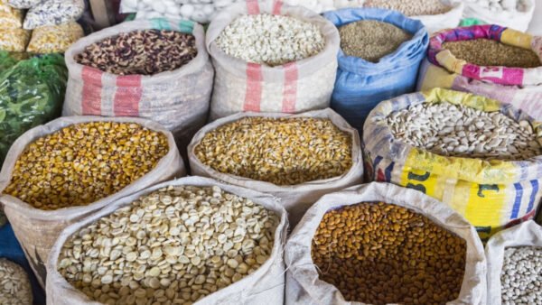 market mercado central de san pedro