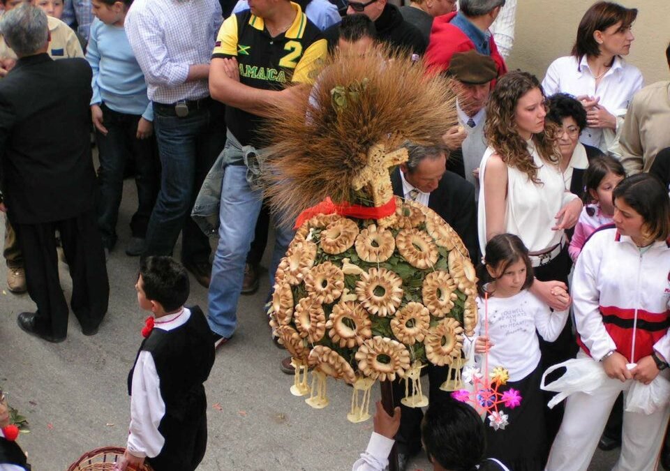 463880885 10229609469654058 7466158223578714958 n