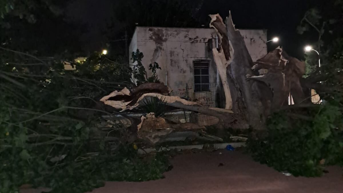 613605079 10235699747386778 3985615748295299304 n