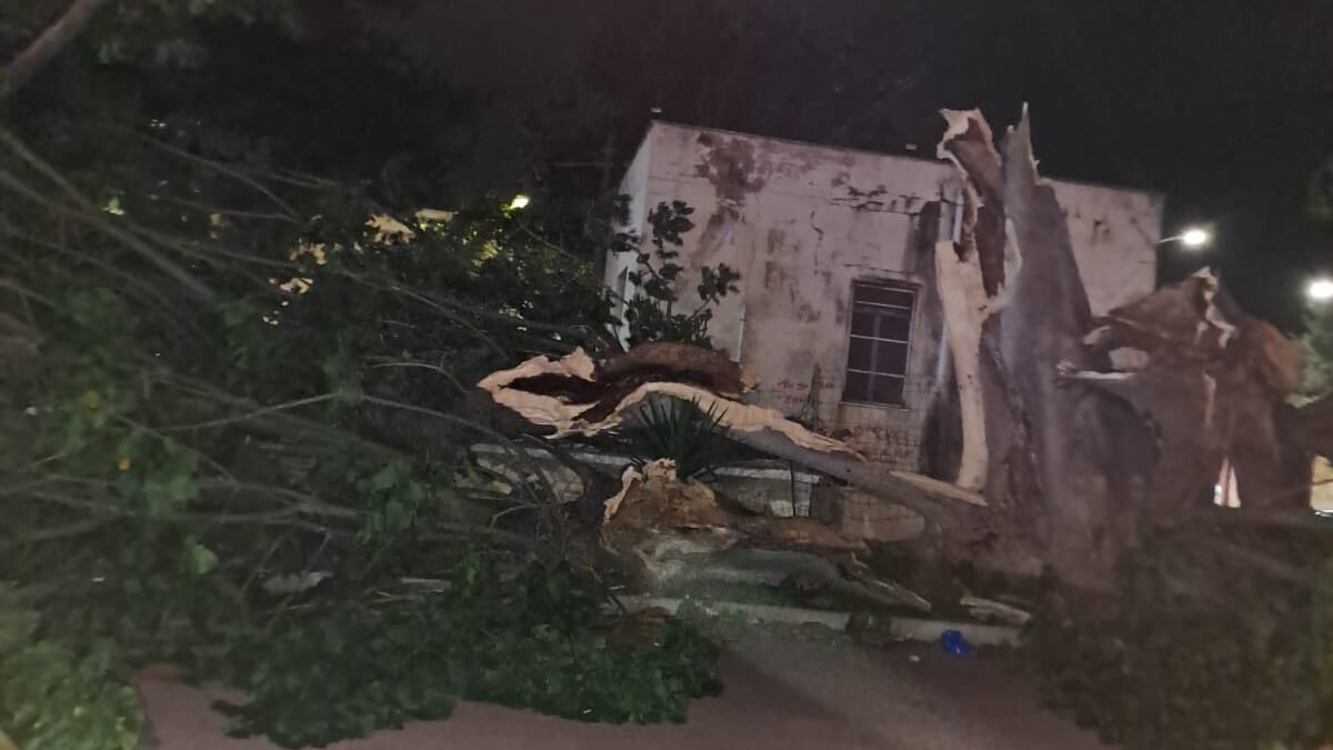 615217062 10235699746746762 3606304135283933309 n