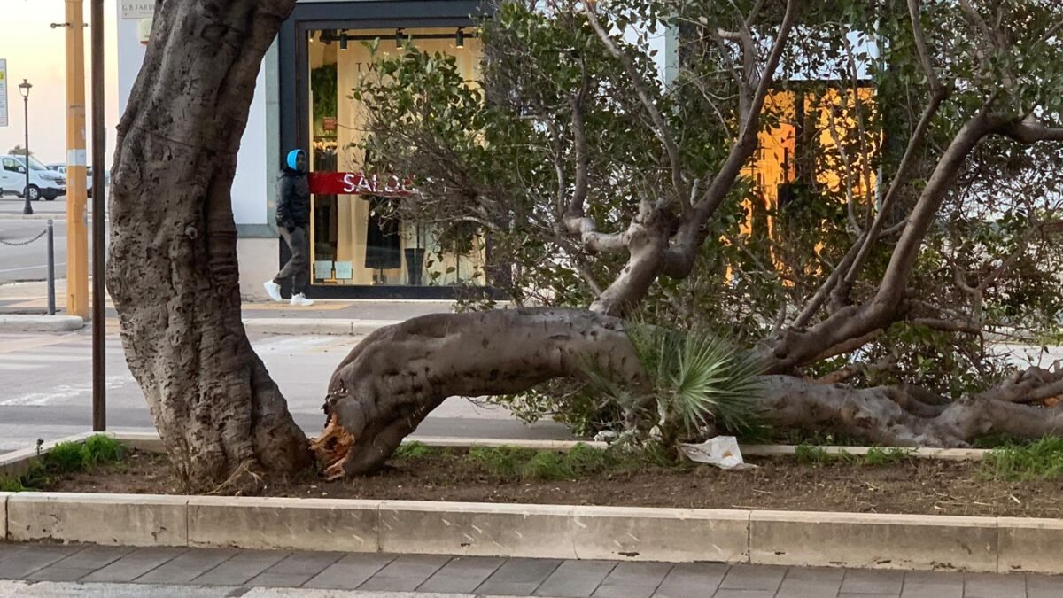 WhatsApp Image 2026 01 10 at 16.53.04