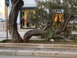 WhatsApp Image 2026 01 10 at 16.53.04