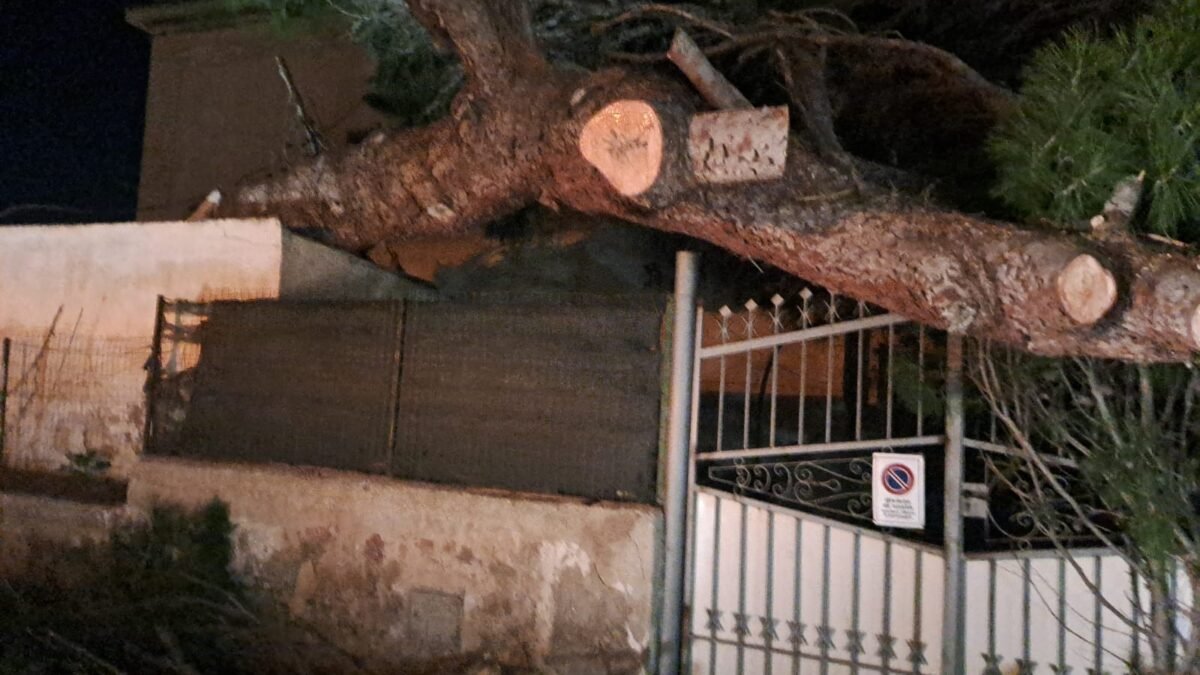 WhatsApp Image 2026 01 18 at 23.15.17