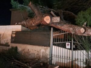 WhatsApp Image 2026 01 18 at 23.15.17