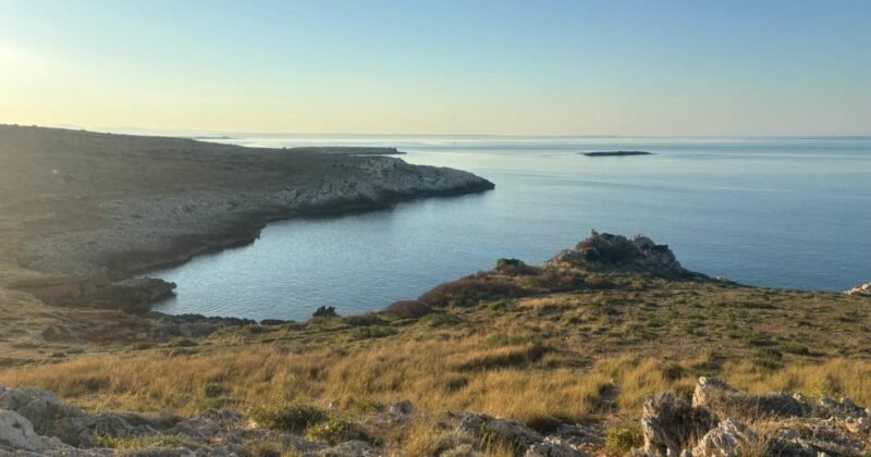 Favignana concessioni